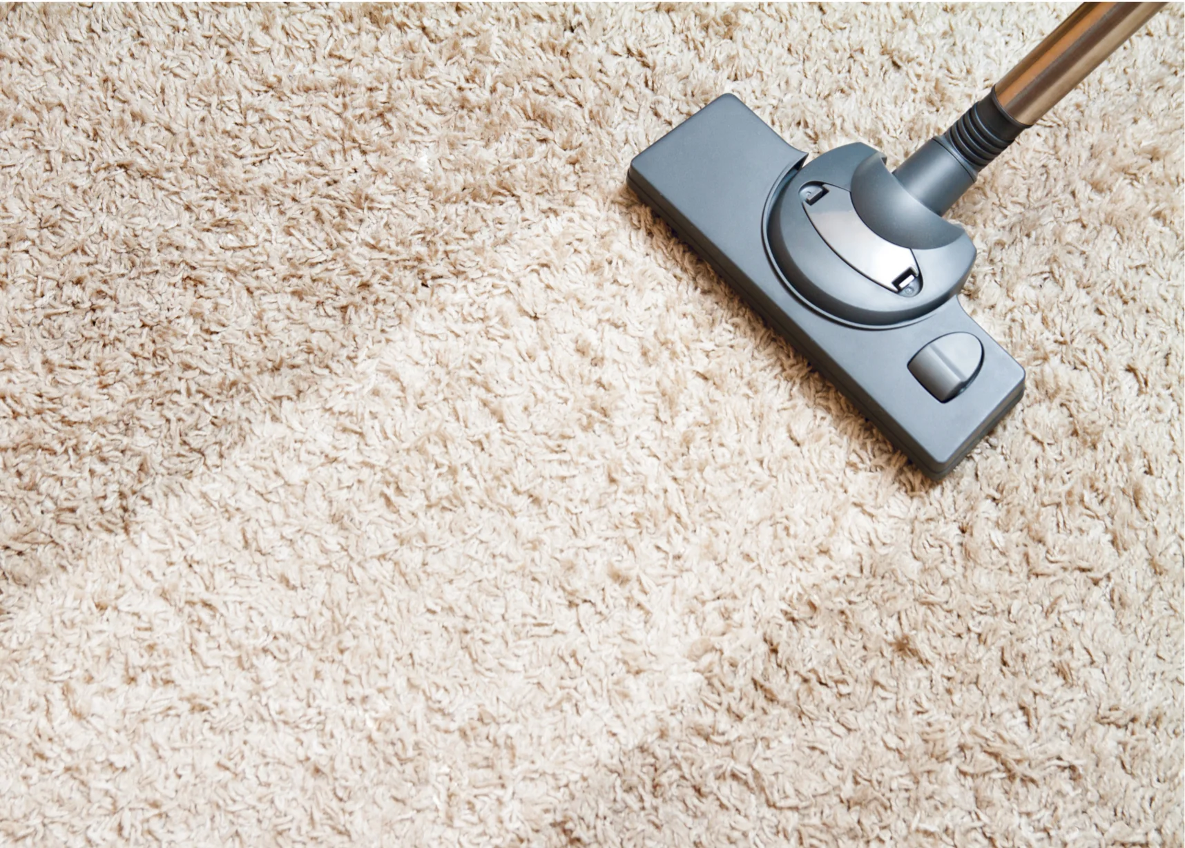 limpieza de alfombras precio